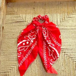 Scrunchie/bandanna